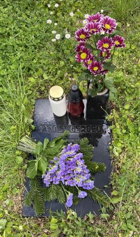 click to see full size