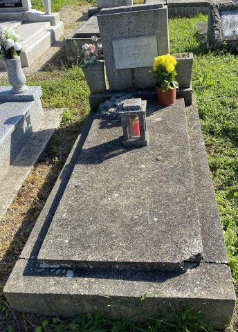 click to see full size