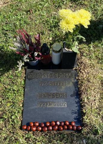 click to see full size