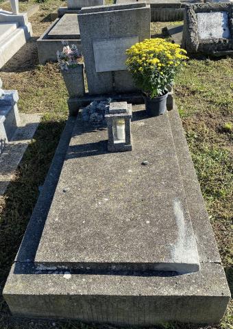 click to see full size